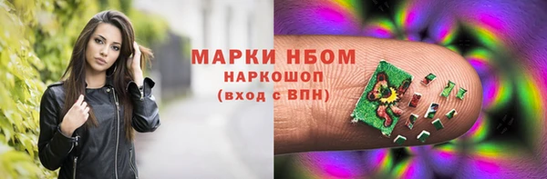 гашик Алексин