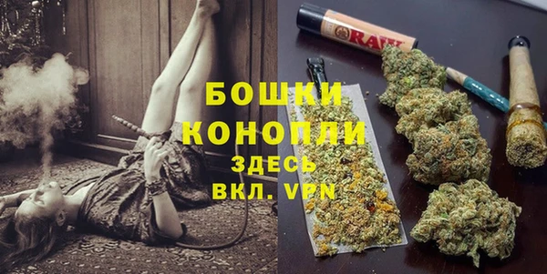 дурь Аркадак