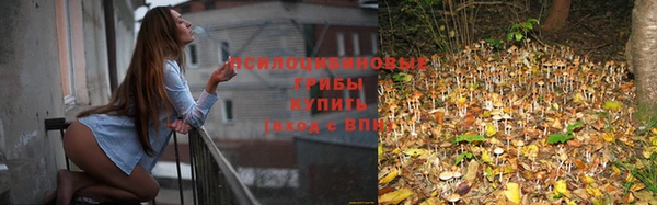 jwh Арсеньев