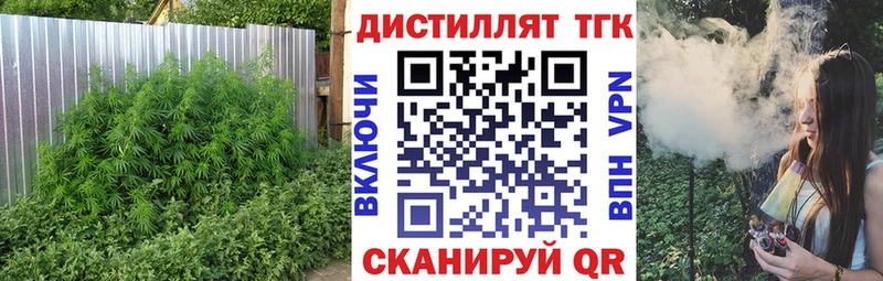 наркота Междуреченск Дистиллят ТГК гашишное масло