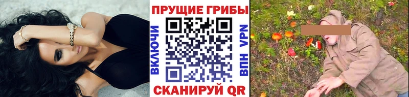 закладка  Междуреченск  Галлюциногенные грибы мицелий 