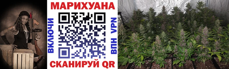 наркотики  Междуреченск  Марихуана тримм 
